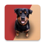 Logo of Barking Dog Sounds android Application 