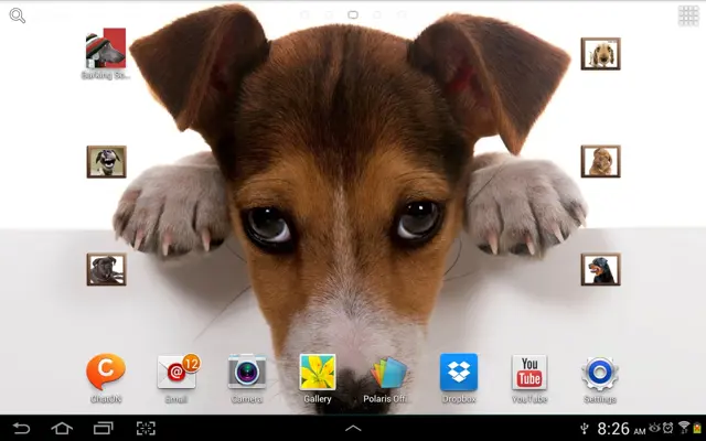 Barking Dog Sounds android App screenshot 18